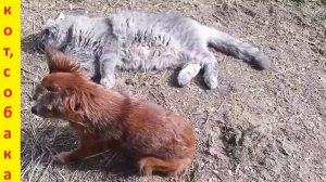 Зимой мы ссоримся, а весной мы - друзья!