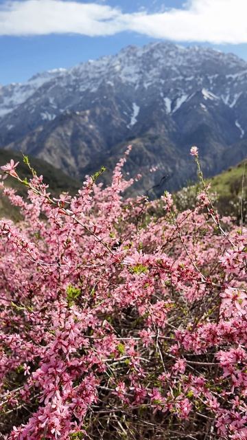 Невероятная красота у водопада Пальтау 🌿💙