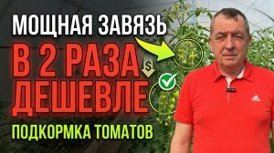 Как сэкономить на подкормке томатов? Дешевая замена дорогим удобрениям для мощной завязи