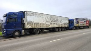 Цыплята доехали глухими) Утеплили  Сергеивича!