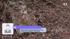 Корреспондент ЯПервого побывала на затопленных ярославских кладбищах