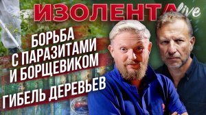 Борьба с паразитами и борщевиком | Гибель деревье в Средней полосе России // Лидов и Татаренков