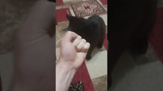 Василий 😎поддержите подпиской давайте накопим на монетизацию