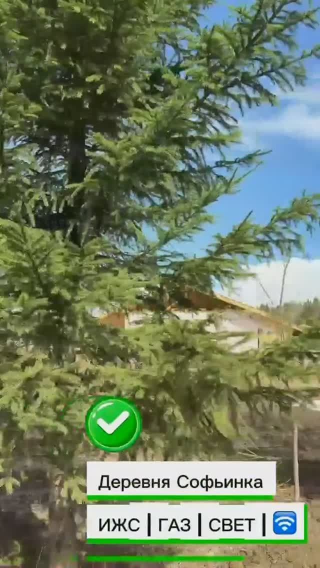 Деревня Софьинка