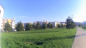 6.04.2026. "Вся земля воды ждала, напилась - и ожила..." 😊