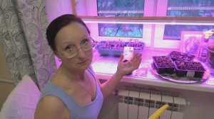 Конец марта 2026 г.  Сею табак, ранние томаты, Вьюн Азарина.  Купила телевизор))