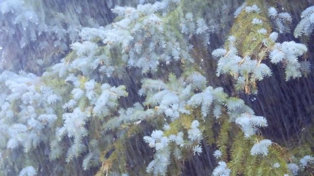 Ленар Гатин - Весна во сне моем