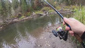 Ловля ХАРИУСА на поплавок на маленькой таёжной речке _ красота