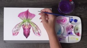 Вопросы и ответы об акварели 👩🎨  Часть №1