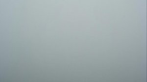 Таловая, Таловский район, туман на улице и пение птиц и какие-то хлопки. 03-04-2026