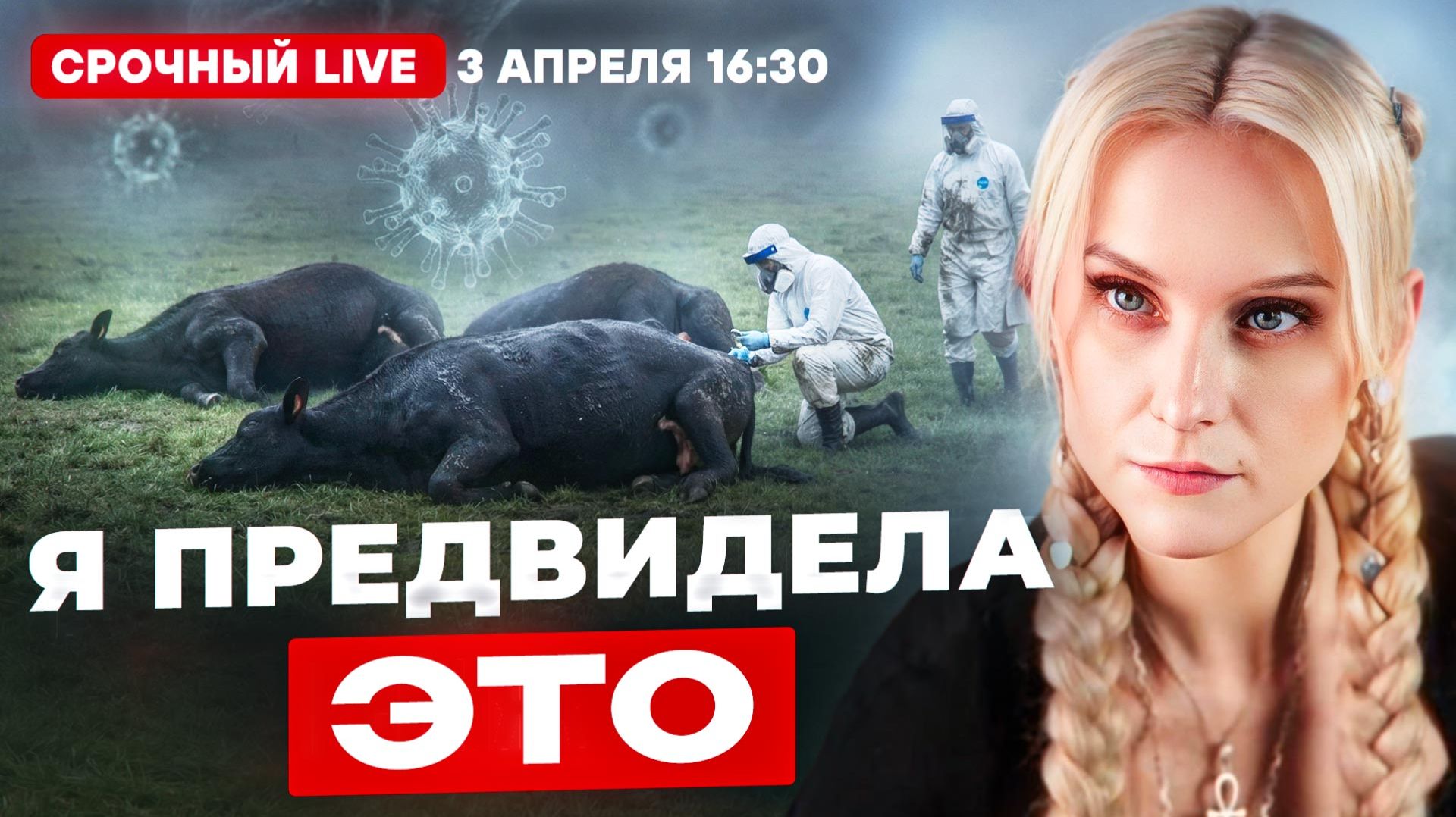 Ясновидящая рассказала почему уничтожают скот в России