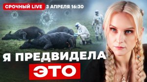 Ясновидящая рассказала почему уничтожают скот в России