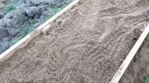 Подготовка грядки под клюкву.