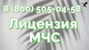 проверить действие лицензии мчс