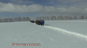 Ветер странствий Поход 10-12.02.2017.MTS