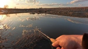 Отличная погода🙃