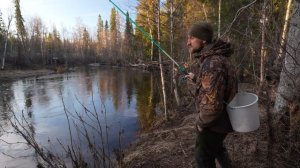 ЗА ХАРИУСОМ НА ТАЁЖНУЮ РЕЧКУ. ПЕРВАЯ РЫБАЛКА С НОЧЕВКОЙ В ИЗБЕ "БОРОВОЙ"