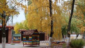 Просите и дано будет вам. 22.03.2021г.