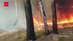 В Красноярском крае начался пожароопасный сезон