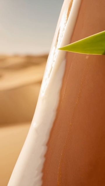 Масло алоэ | Нефертити