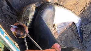 Крутейшая Рыбалка на хищника. Лучшая Русская Рыбалка Смотреть на RUTUBE в 2026 Верхогляд Онлайн