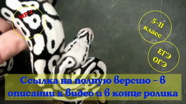 Свойства (признаки) живых организмов».Часть 3. Видеоурок.