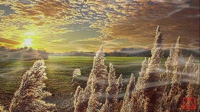 БЛАЖЕННАГО АВВЫ ЗОСИМЫ СОБЕСЕДОВАНИЯ ч15