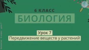Передвижение веществ у растений