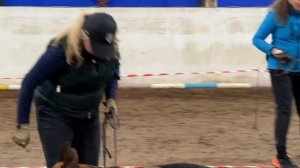 2 Оч/хор ЮСС Росса Краш УРУС №3 / КЧК ВОЛОГДА 4 апреля`26 А.Буйнова Моно немецких овчарок