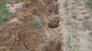 Высадка деревьев в Каменском районе