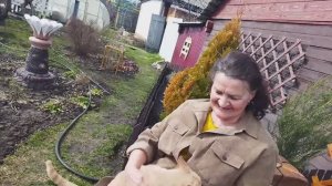 Обзор сада 7 апреля 2026 г.