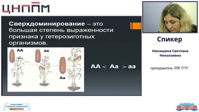 Взаимодействие аллельных генов