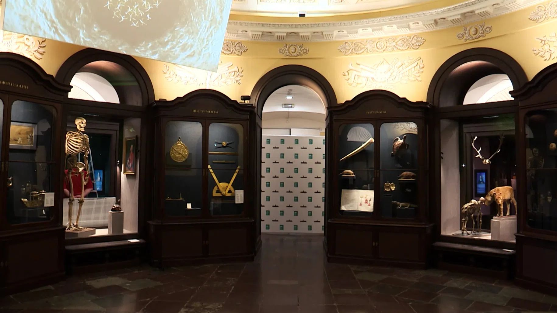 5 Обзорная экскурсия по обновленной экспозиции Кунсткамеры [get.gt]