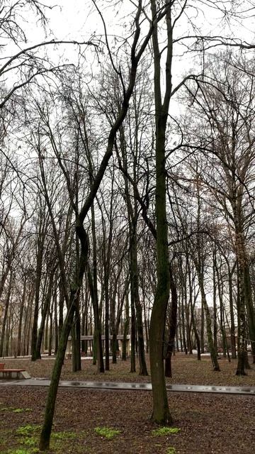 Парк Станкозавода, Н.Новгород №1