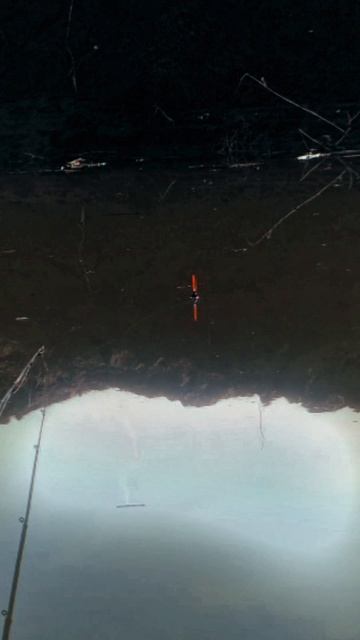 Рыбалка на поплавок! 🐟 #рыбалка #поплавочнаяудочка #река#природа #астраханскаярыбалка #shorts 
#sho