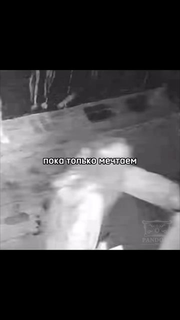 Ответ на часто задаваемый вопрос 🫣