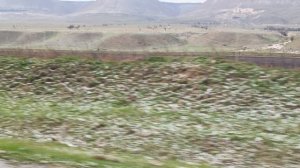 После града.7 апреля 2026