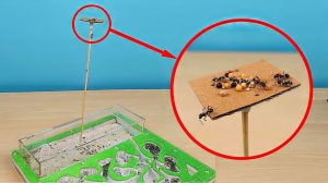 Башня Кормушка для Муравьев! Испытание Антипобега! Садовые муравьи в спячке. alex boyko