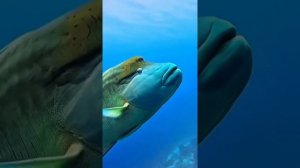 Природа нашей планеты!....