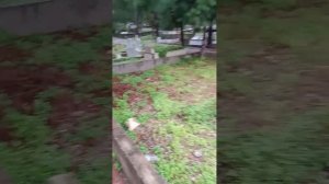 У турков тоже есть своего рода родительский день  для посещения ушедших родственников