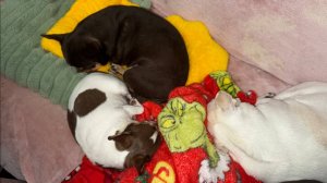 Доброго всем вечера и самой спокойной ночи.