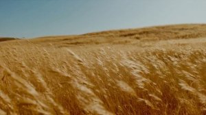 ПЕРЕКРЁСТОК