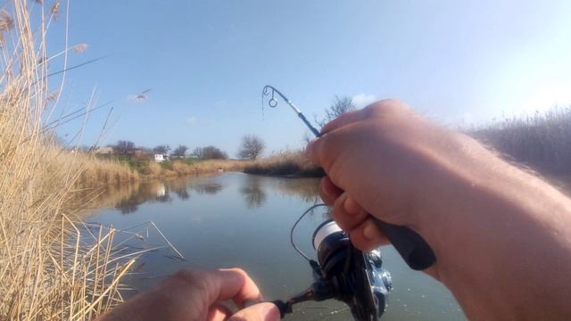 Крупный карась на мормышку! 
олта навахо мормышка 168