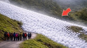 75 природных моментов , которые когда либо попадали в объектив камеры.