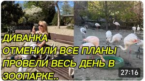 САМВЕЛ АДАМЯН, МИСС ВОНГ, ОТМЕНИЛИ ВСЕ ПЛАНЫ, ПРОВЕЛИ ВЕСЬ ДЕНЬ В ЗООПАРКЕ..