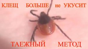 ЭНЦЕФАЛИТНЫЙ КЛЕЩ ВАС больше не УКУСИТ Дедовский Способ  - Это ВЫРЕЗКА из Рыбалки ссылка в Описании