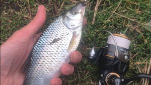 Рыба КЛЮËТ НА КАЖДОМ забросе на мормышку! 
Не реальный клёв!