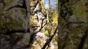 Портал для Переходов. #вселеннаяя #переход5d #друид #хортица #энергоработа