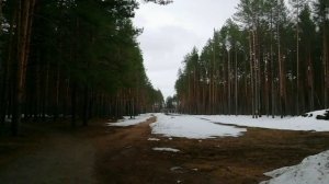 Царь здоровья - лес зовёт