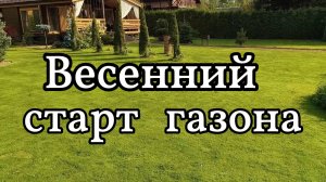Первая подкормка газона весной: с чего начать